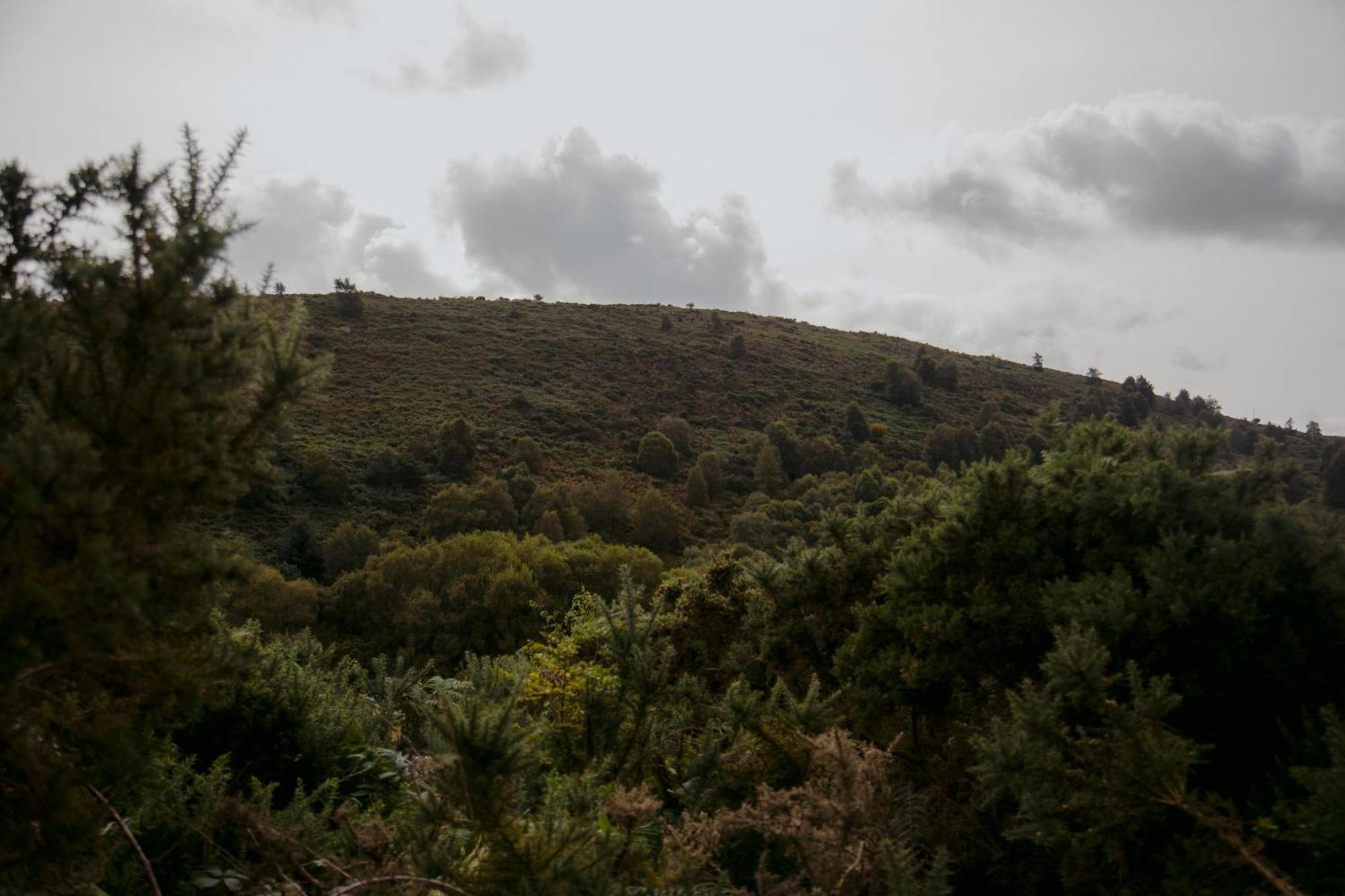 The Deerstone Luxury Eco Hideaway *
